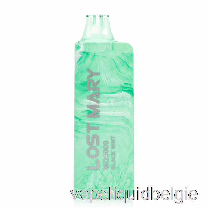 Vape Smaken Lost Mary Mo5000 Wegwerp Zwart Mint